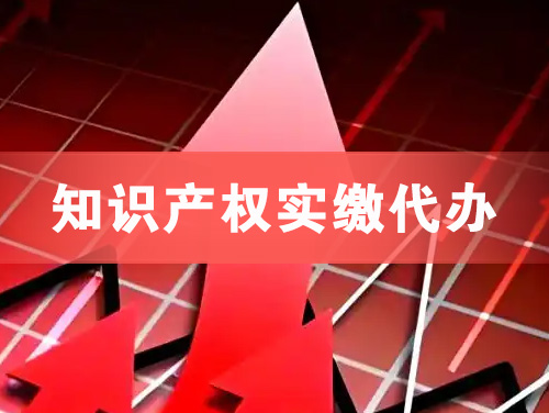 玉林知识产权实缴资本代办